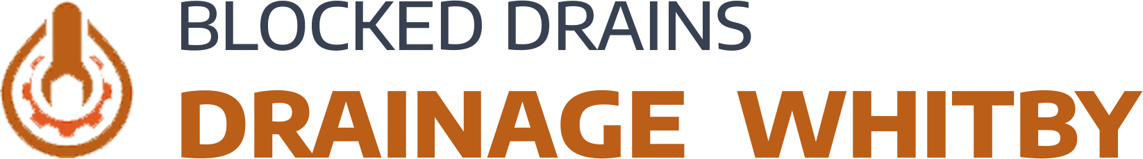 website logo